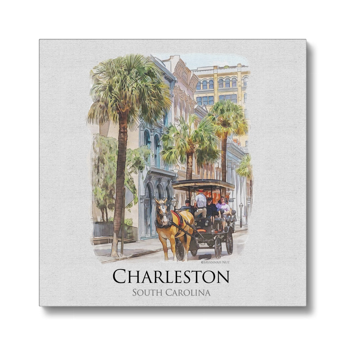 Charleston Carriage Tour Eco Canvas
