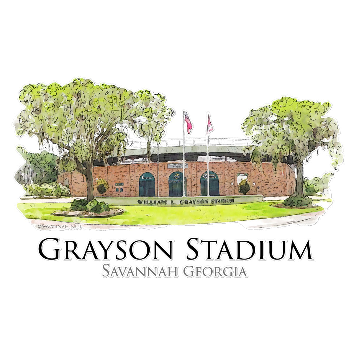 Grayson Stadium - Home of the Savannah Bananas Temporary Tattoo
