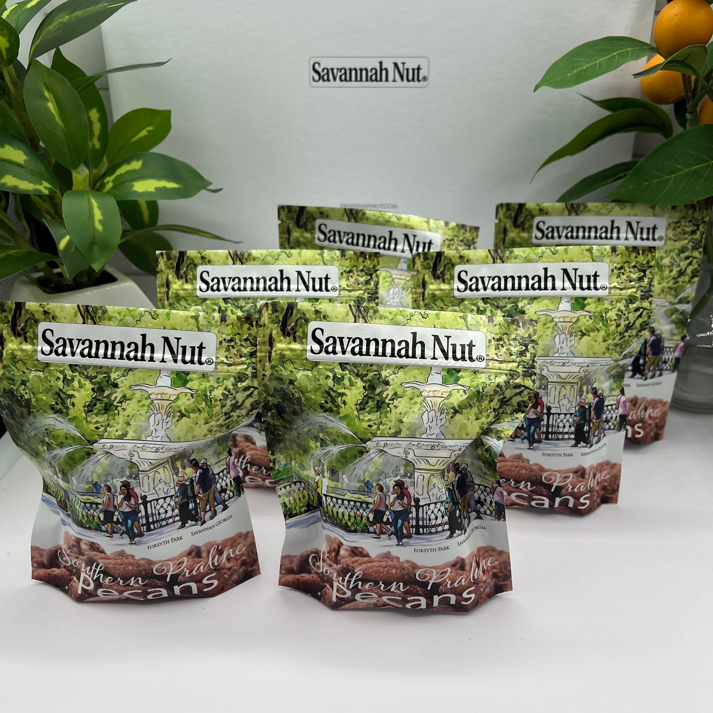 6 pack Savannah Nut Southern Praline Candied Pecans - Forsyth Park Savannah Georgia