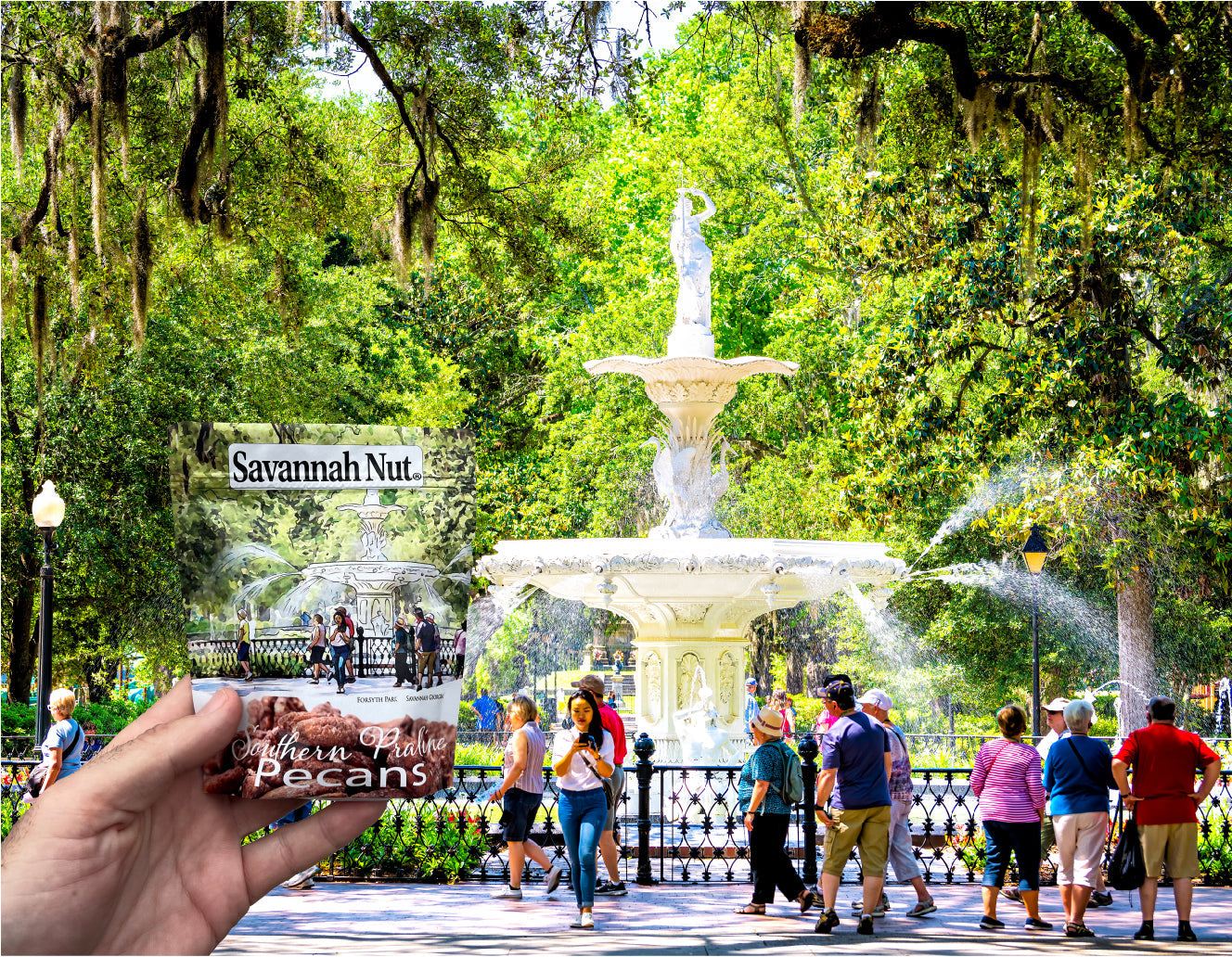 3 pack Savannah Nut Southern Praline Candied Pecans - Forsyth Park Savannah Georgia