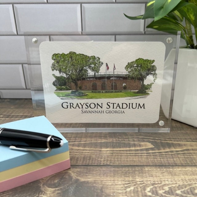 Savannah Bananas Grayson Stadium Georgia framed watercolor painting print