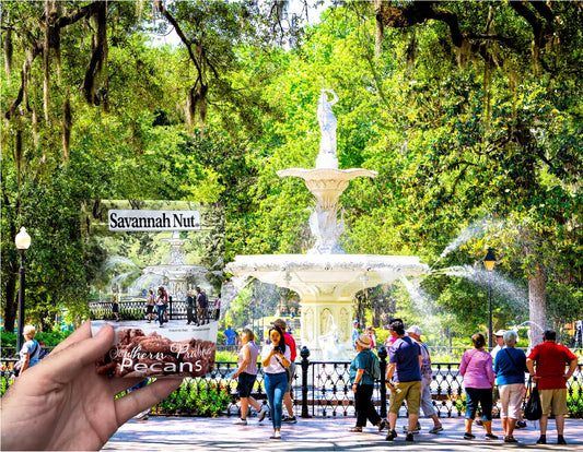 6 pack Savannah Nut Southern Praline Candied Pecans - Forsyth Park Savannah Georgia