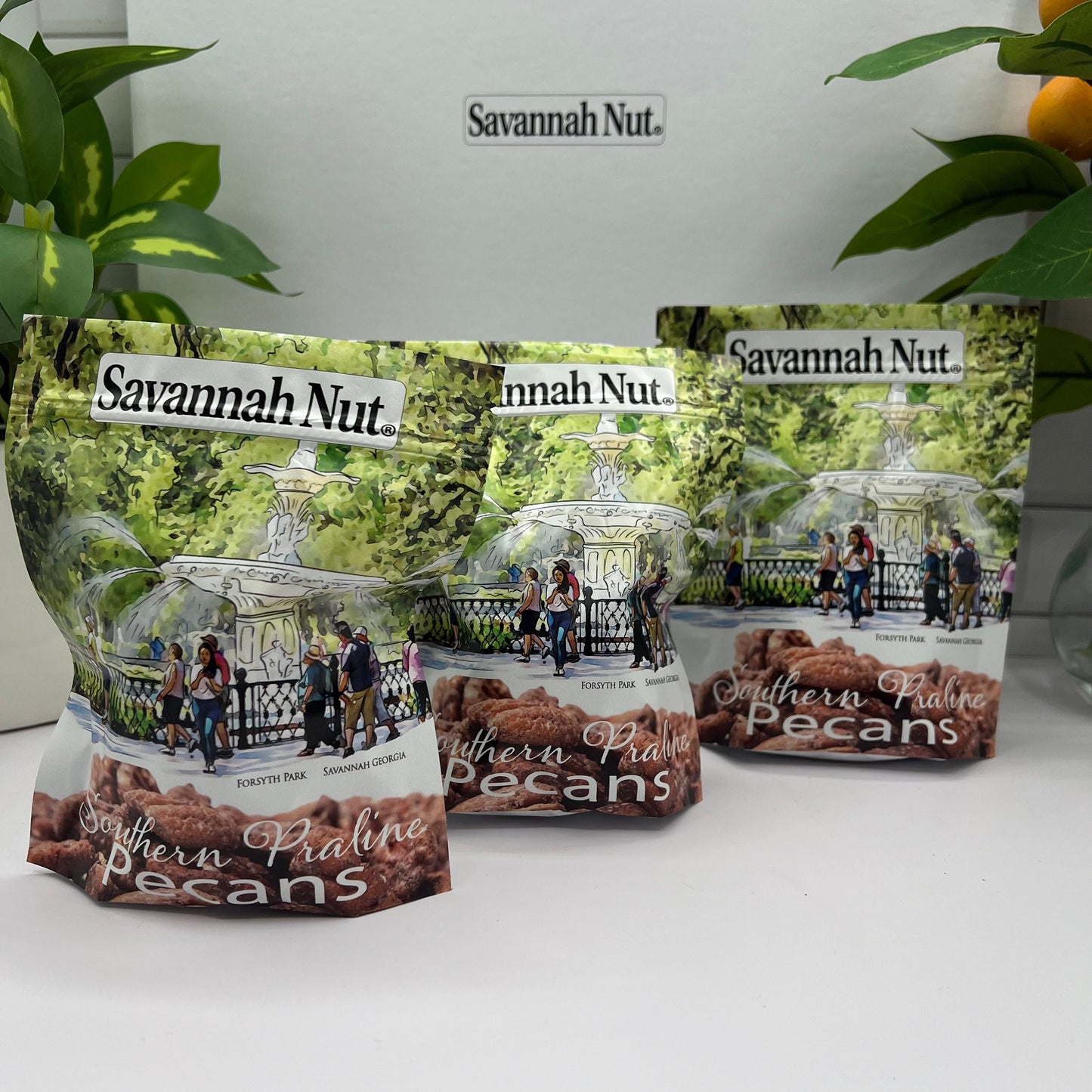 3 pack Savannah Nut Southern Praline Candied Pecans - Forsyth Park Savannah Georgia