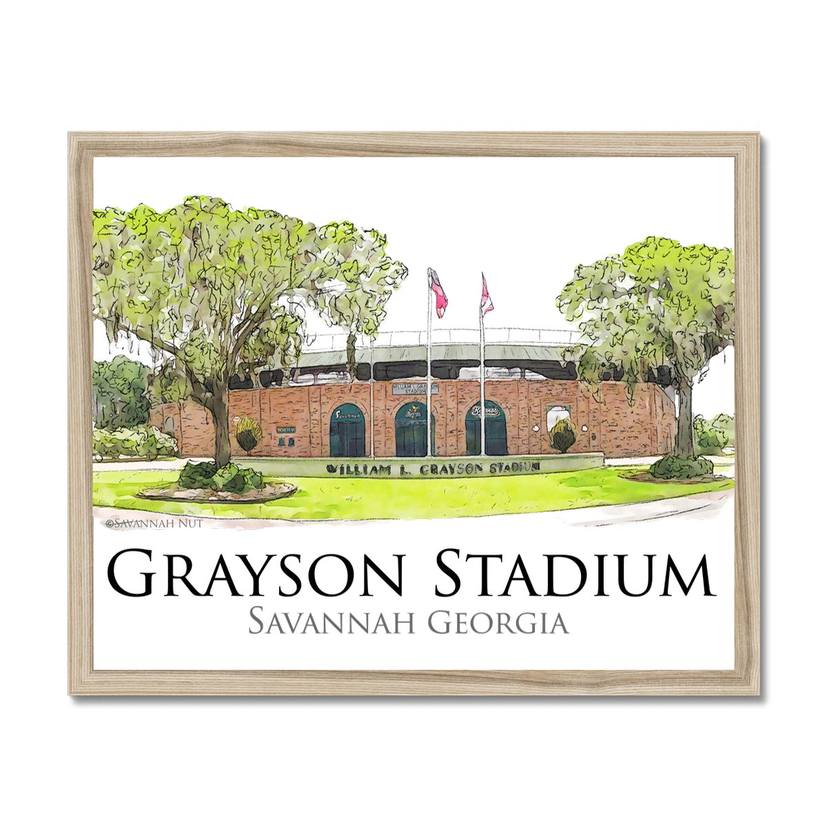 Grayson Stadium - Home of the Savannah Bananas Budget Framed Poster