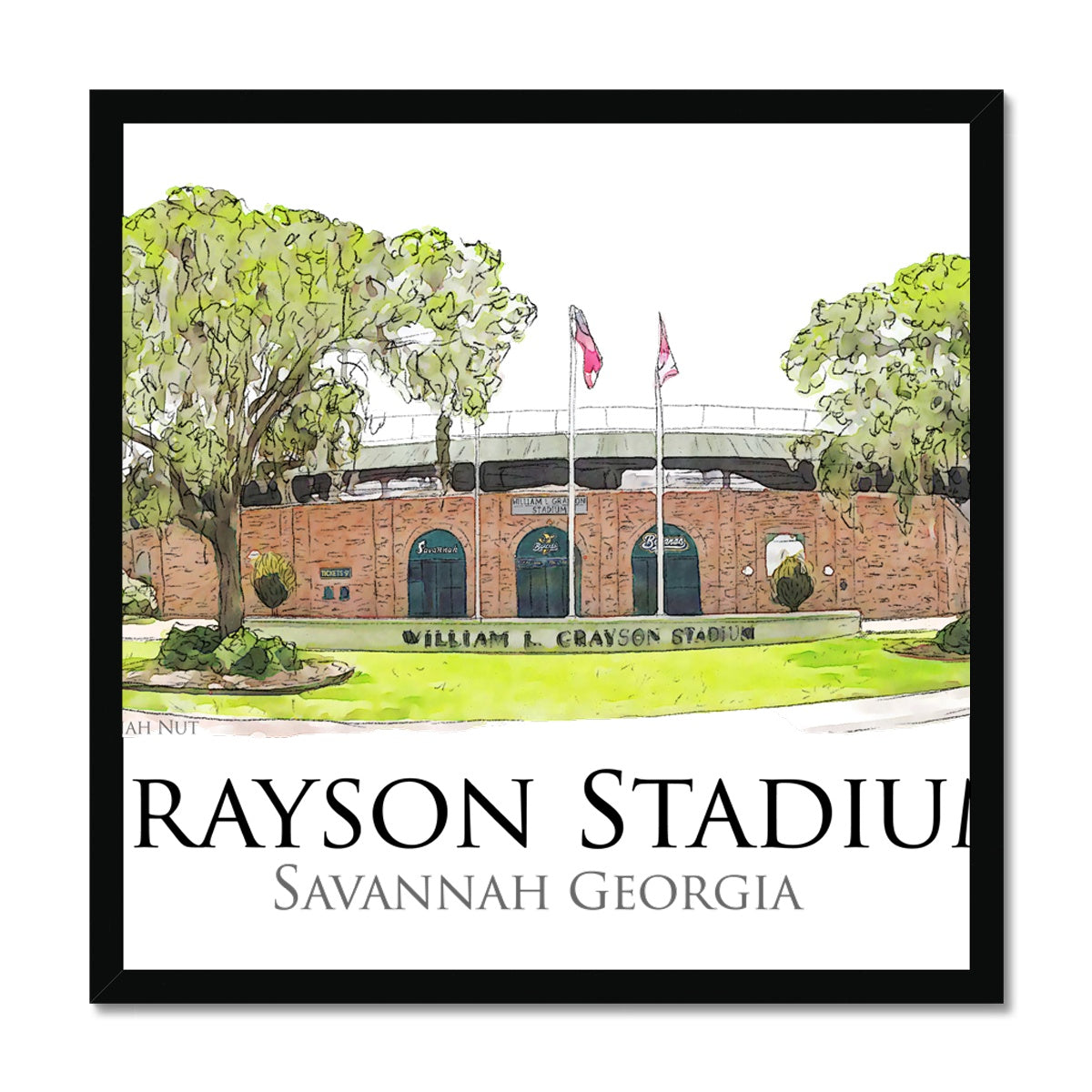 Grayson Stadium - Home Of The Savannah Bananas Budget Framed Poster ...