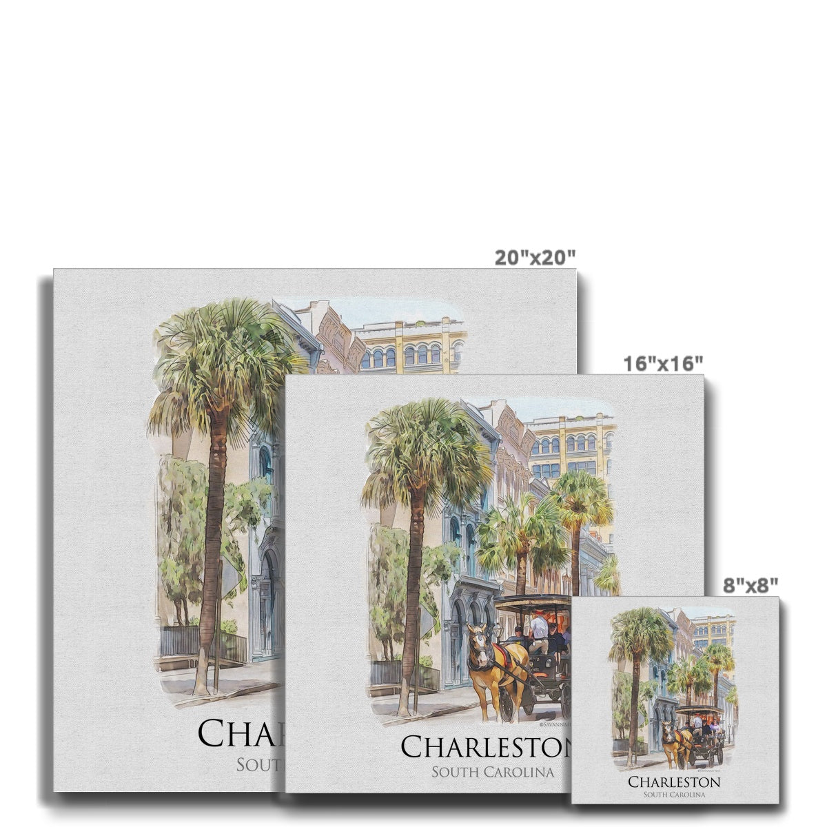 Charleston Carriage Tour Eco Canvas