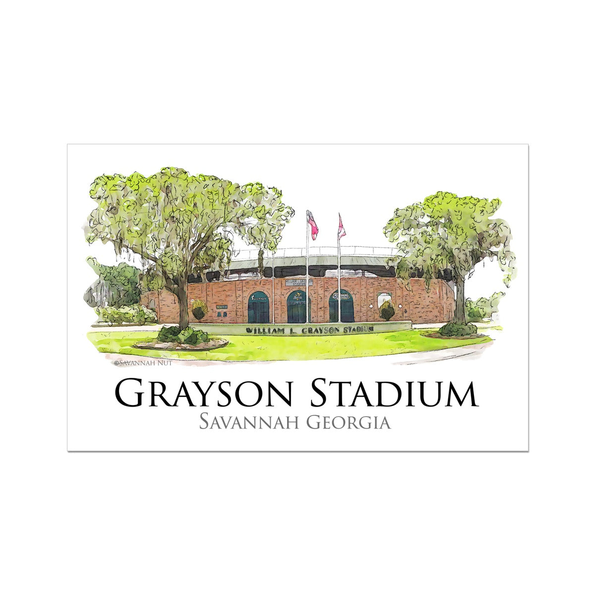 Grayson Stadium - Home of the Savannah Bananas Rolled Canvas