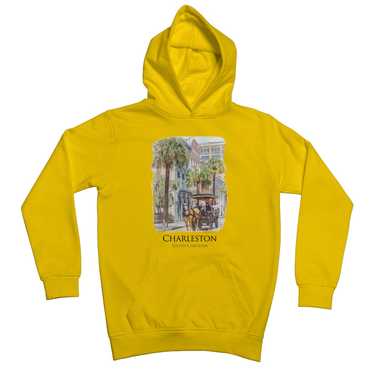 Charleston Carriage Tour Kids Hoodie