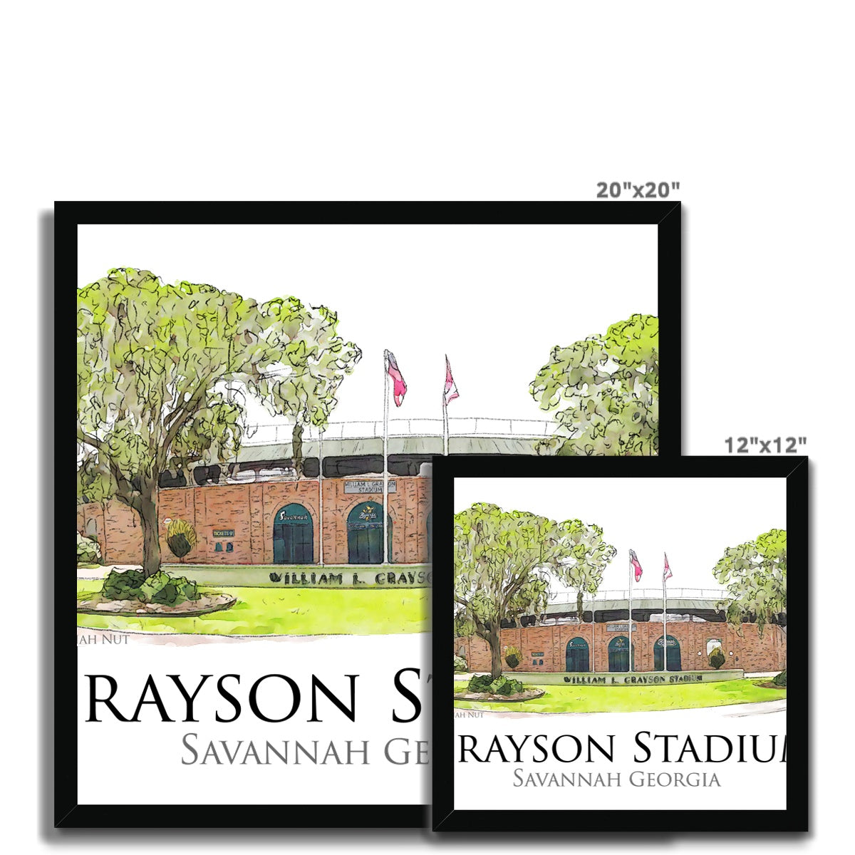 Grayson Stadium - Home of the Savannah Bananas Budget Framed Poster