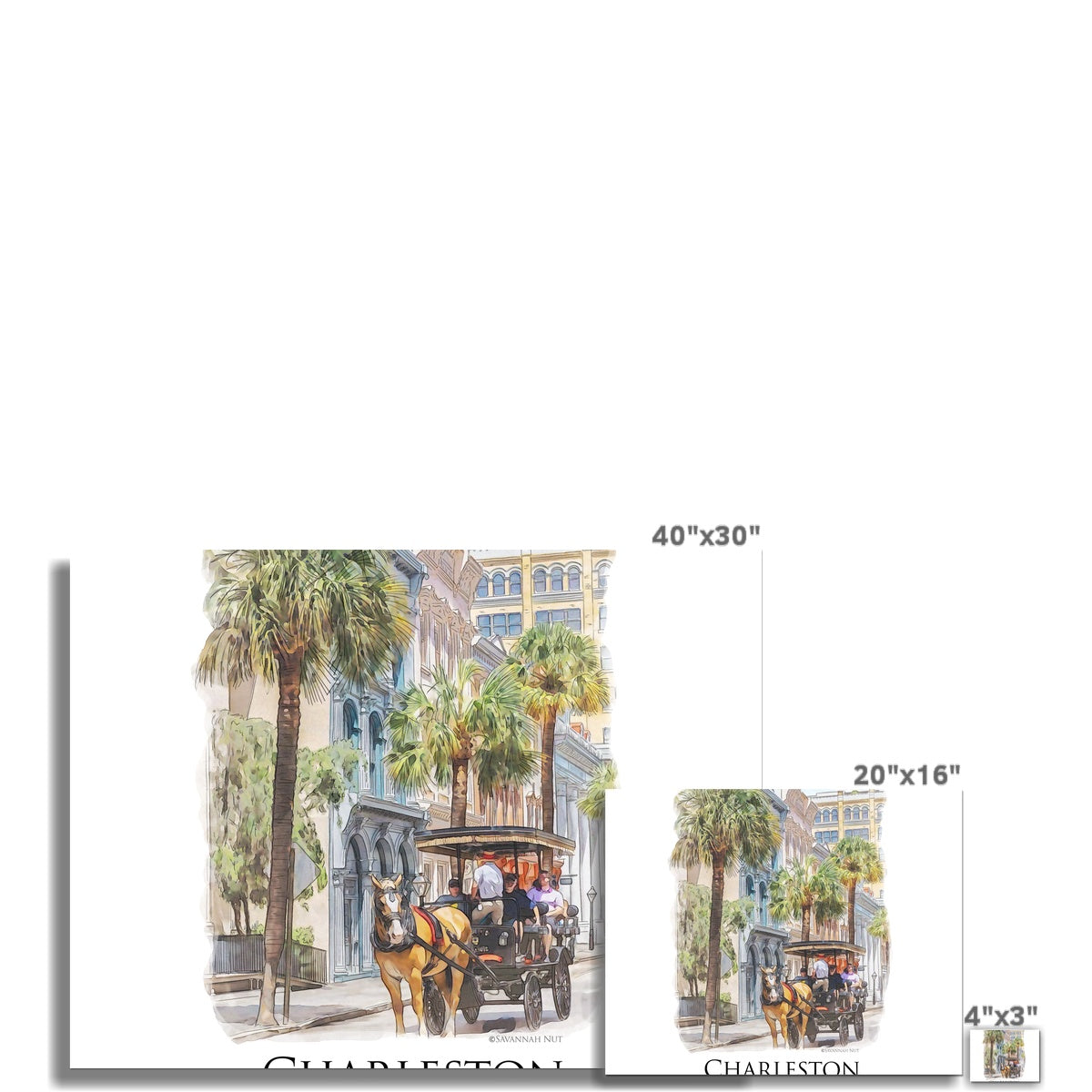 Charleston Carriage Tour C-Type Print