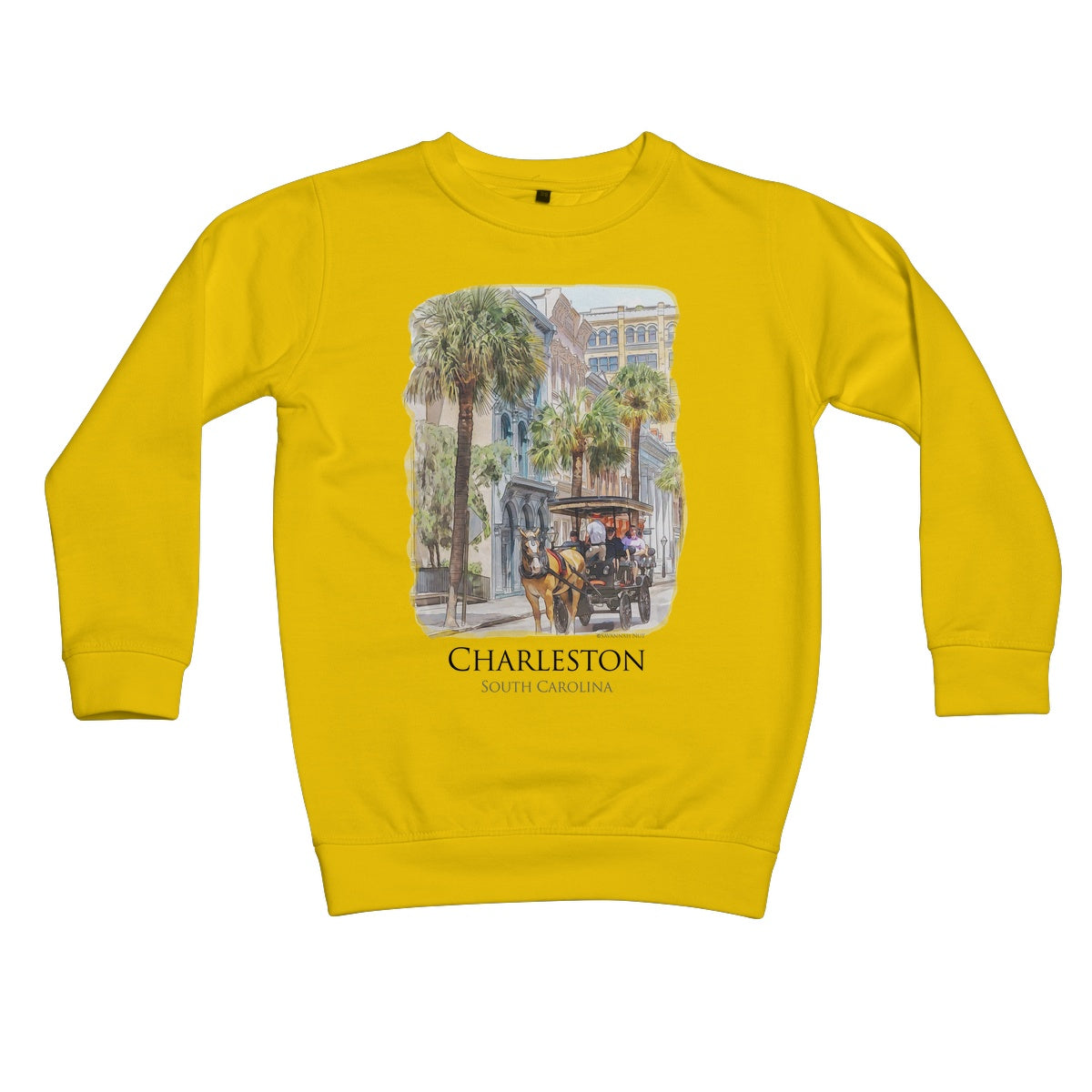 Charleston Carriage Tour Kids Sweatshirt