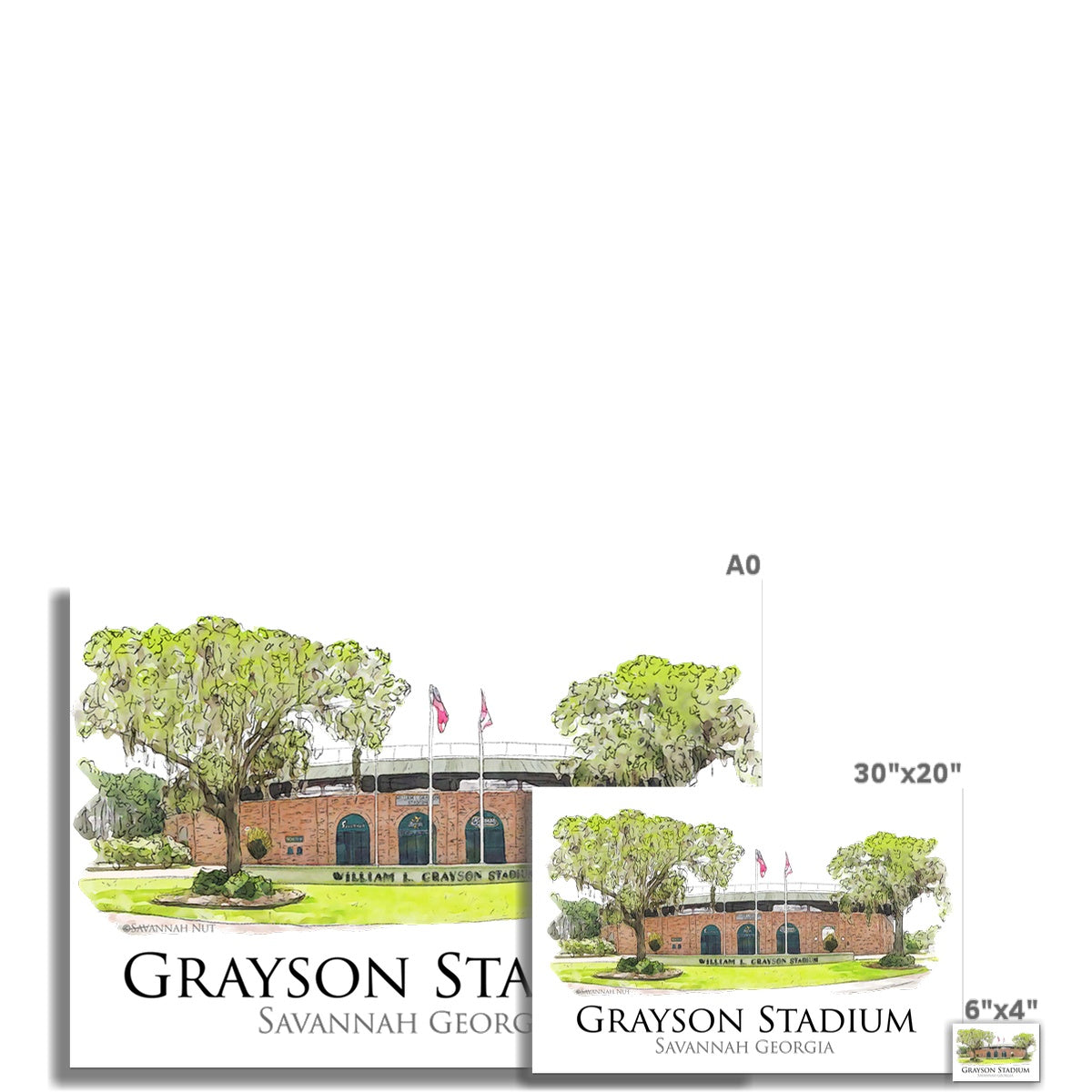 Grayson Stadium - Home of the Savannah Bananas Rolled Canvas