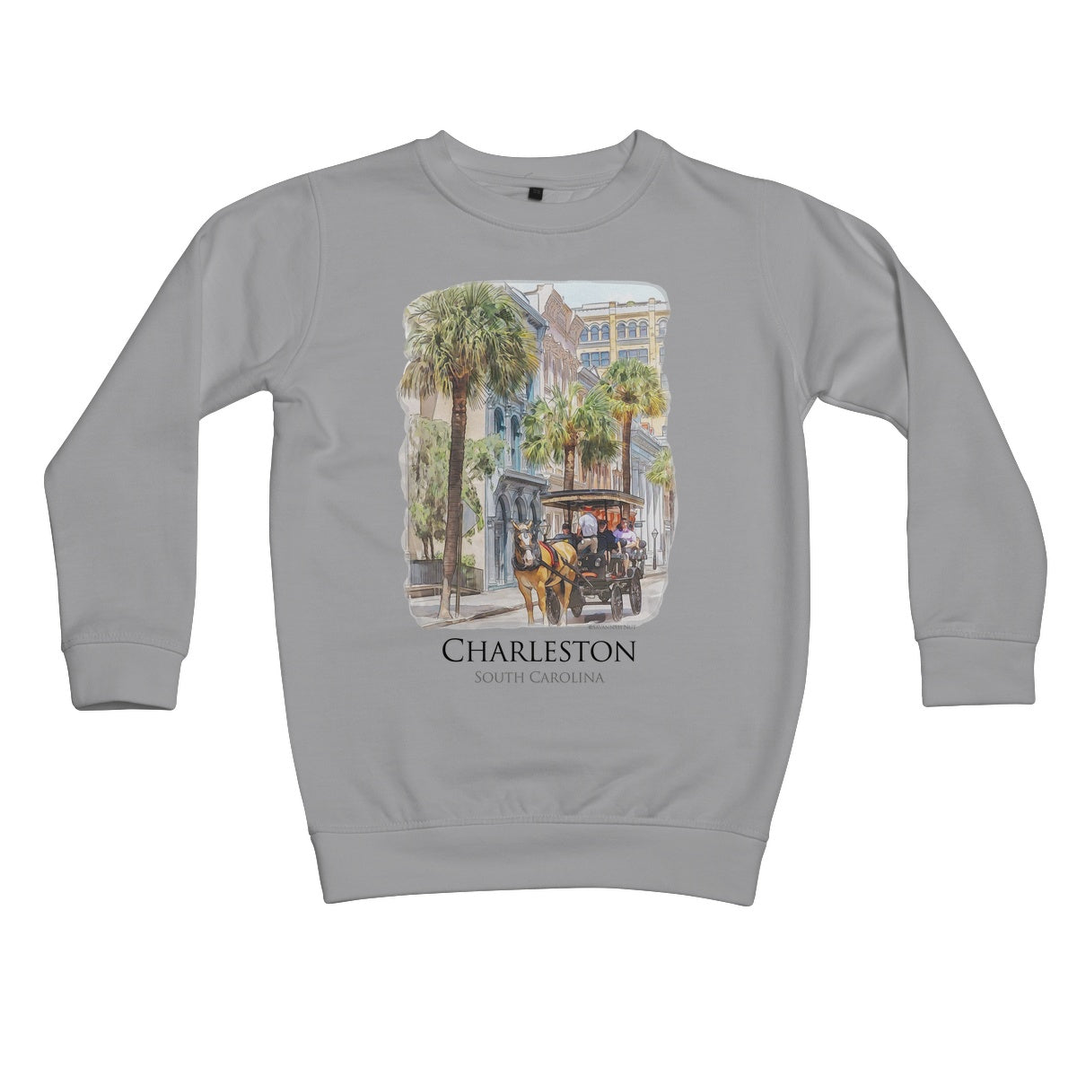 Charleston Carriage Tour Kids Sweatshirt