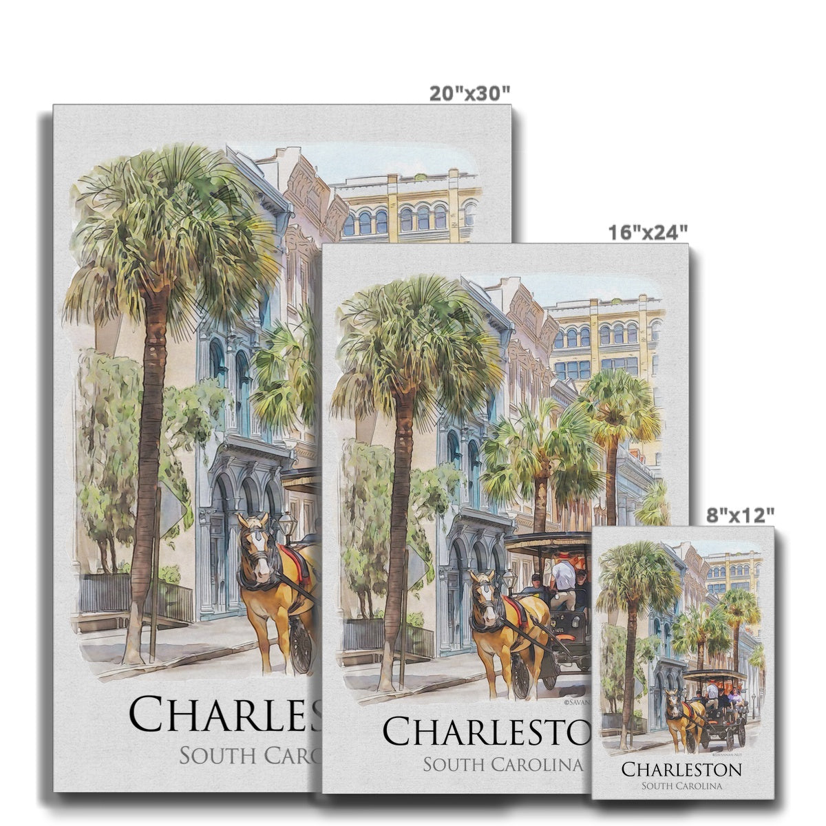 Charleston Carriage Tour Eco Canvas