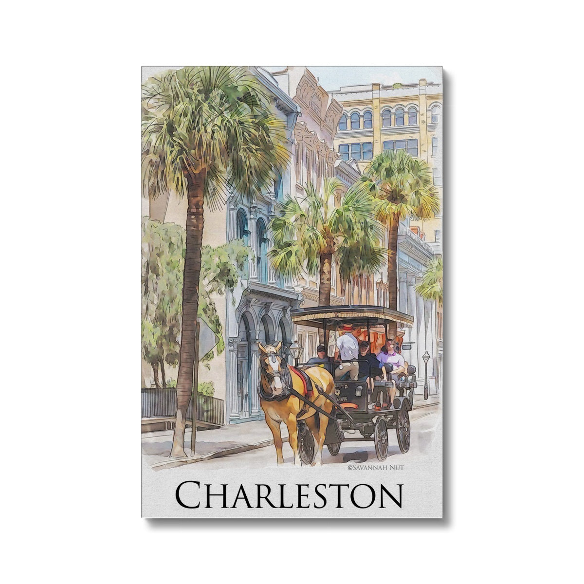 Charleston Carriage Tour Eco Canvas
