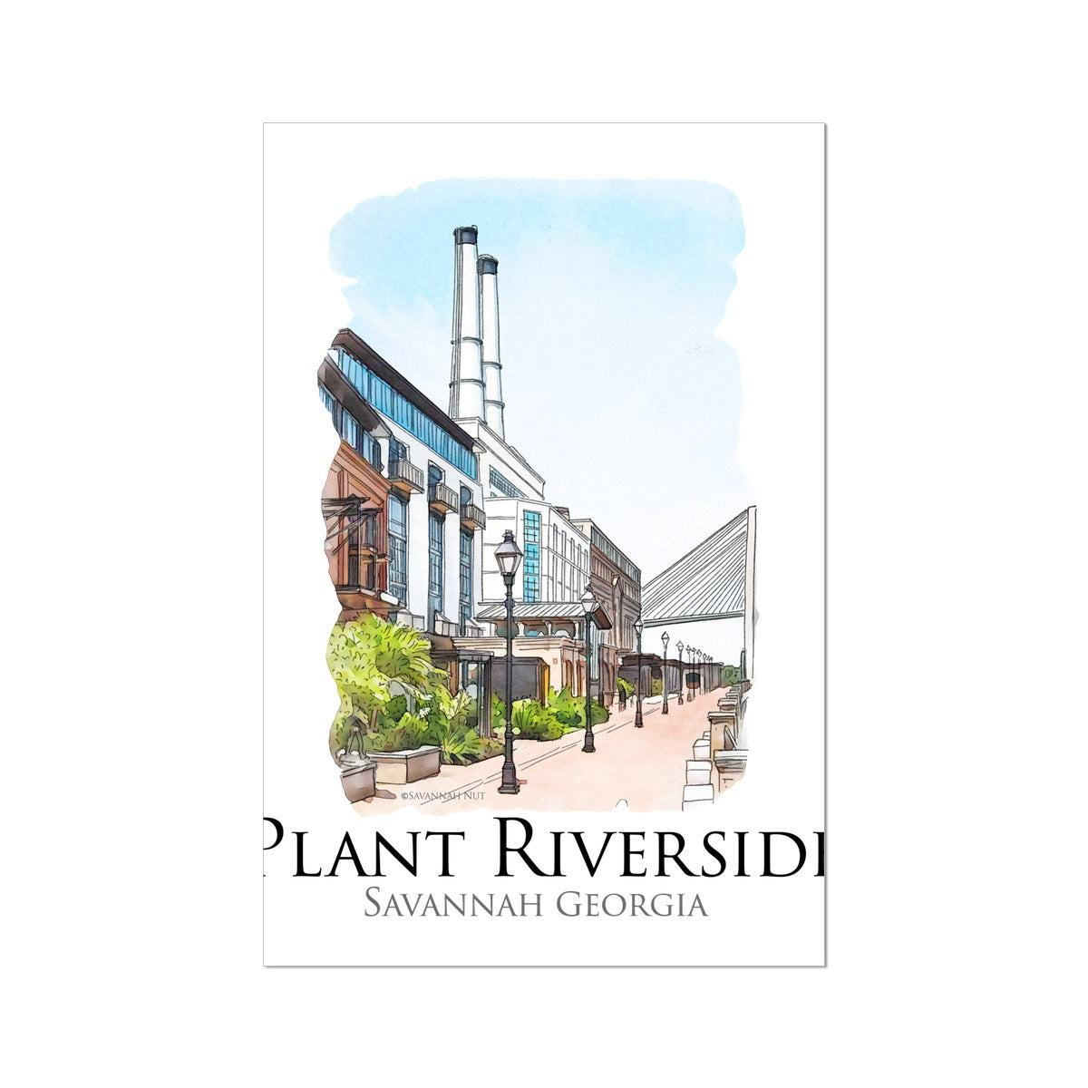 Plant Riverside Savannah Hahnemühle German Etching Print