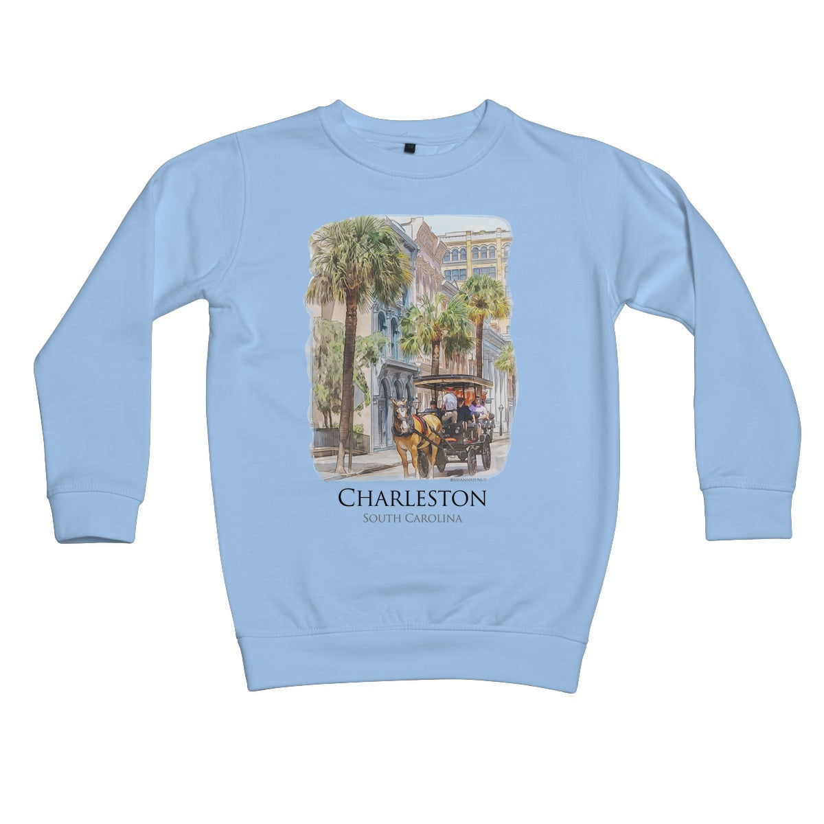 Charleston Carriage Tour Kids Sweatshirt