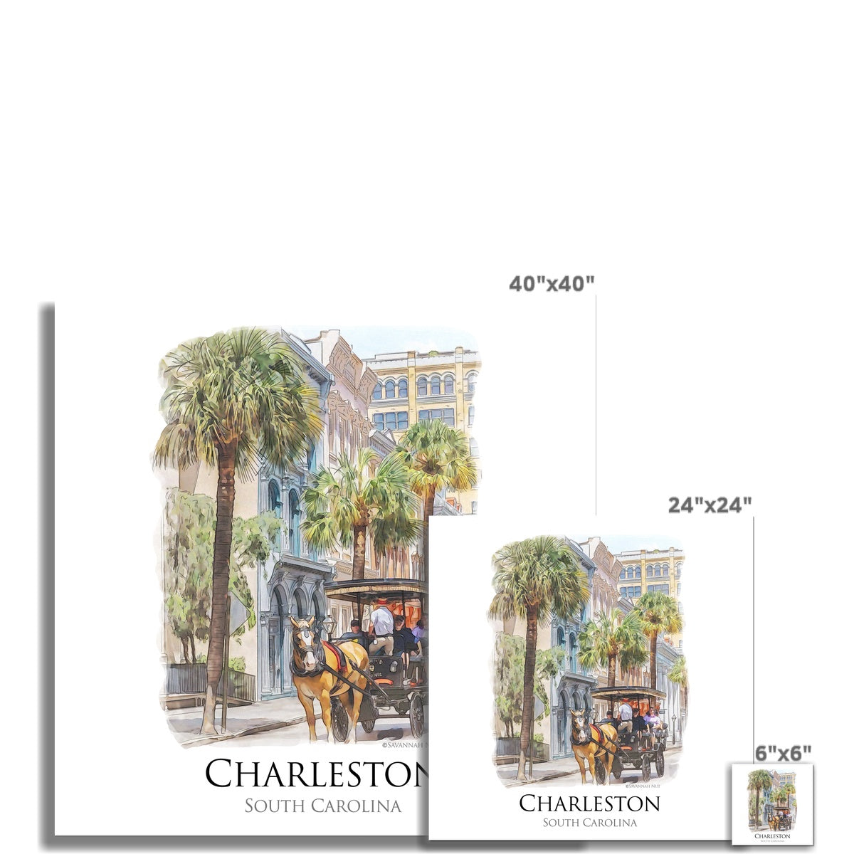 Charleston Carriage Tour Hahnemühle Photo Rag Print