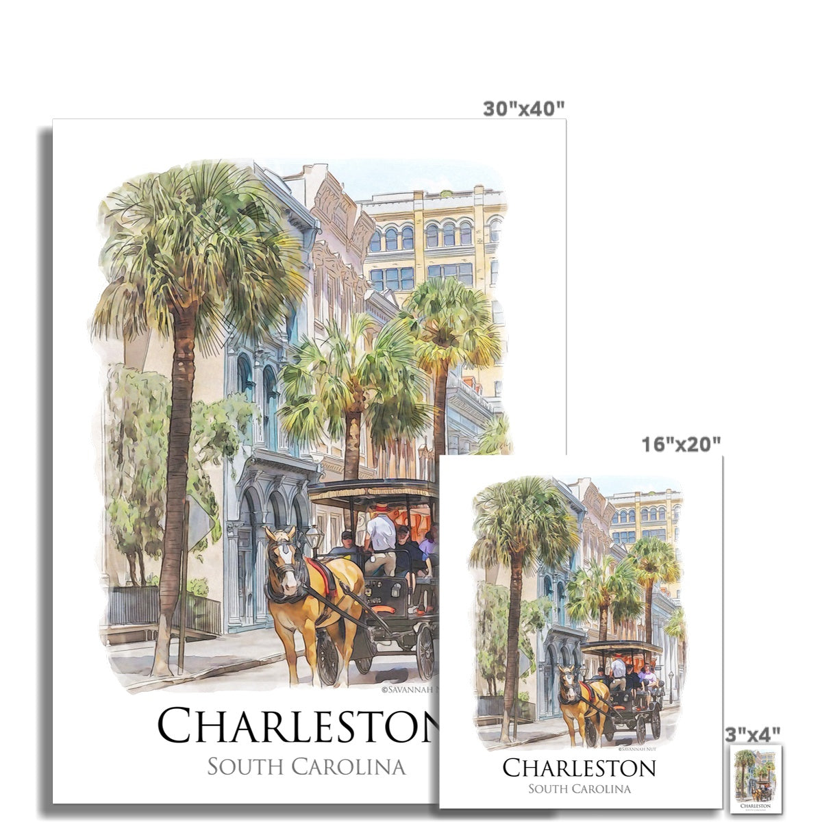 Charleston Carriage Tour C-Type Print