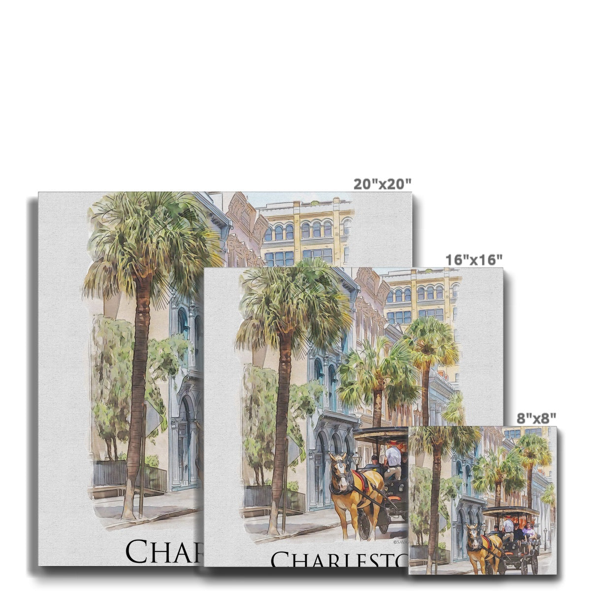 Charleston Carriage Tour Eco Canvas