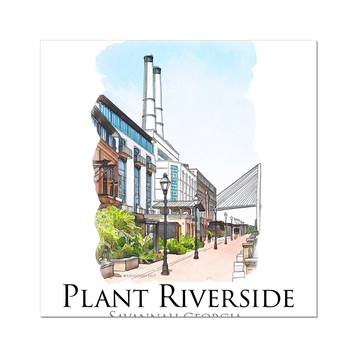 Plant Riverside Savannah Hahnemühle German Etching Print