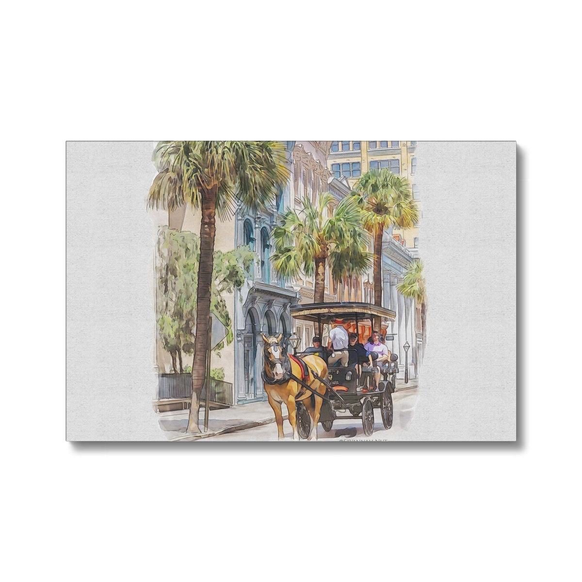 Charleston Carriage Tour Eco Canvas