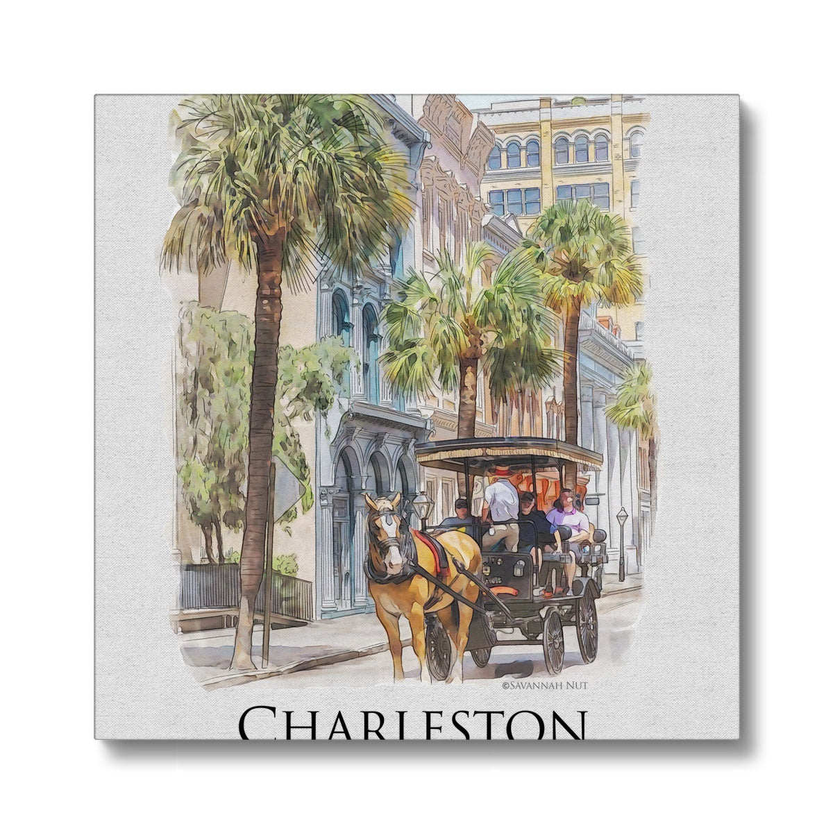 Charleston Carriage Tour Eco Canvas