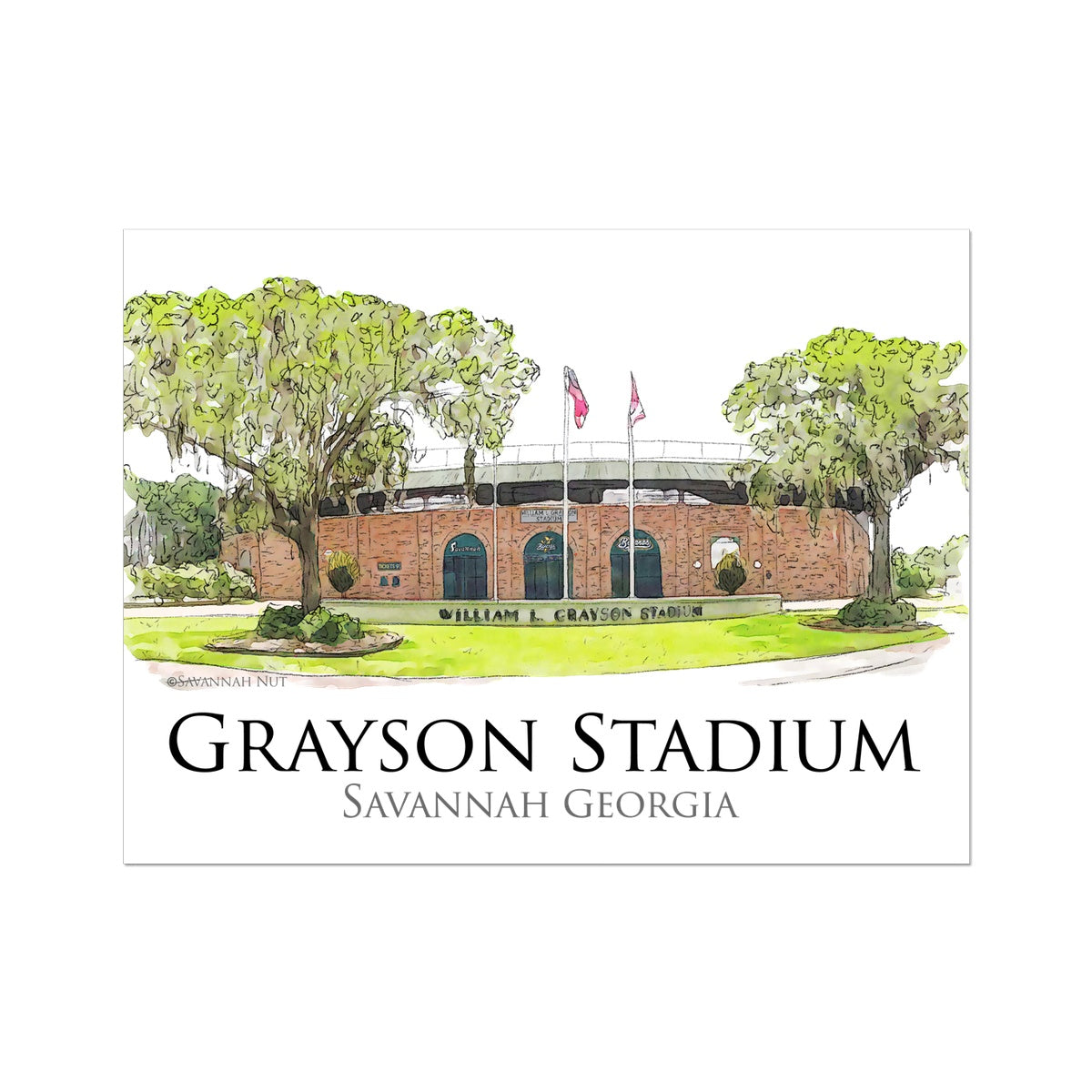 Grayson Stadium - Home of the Savannah Bananas Wall Art Poster