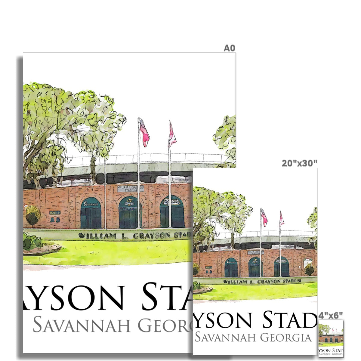Grayson Stadium - Home of the Savannah Bananas Rolled Canvas