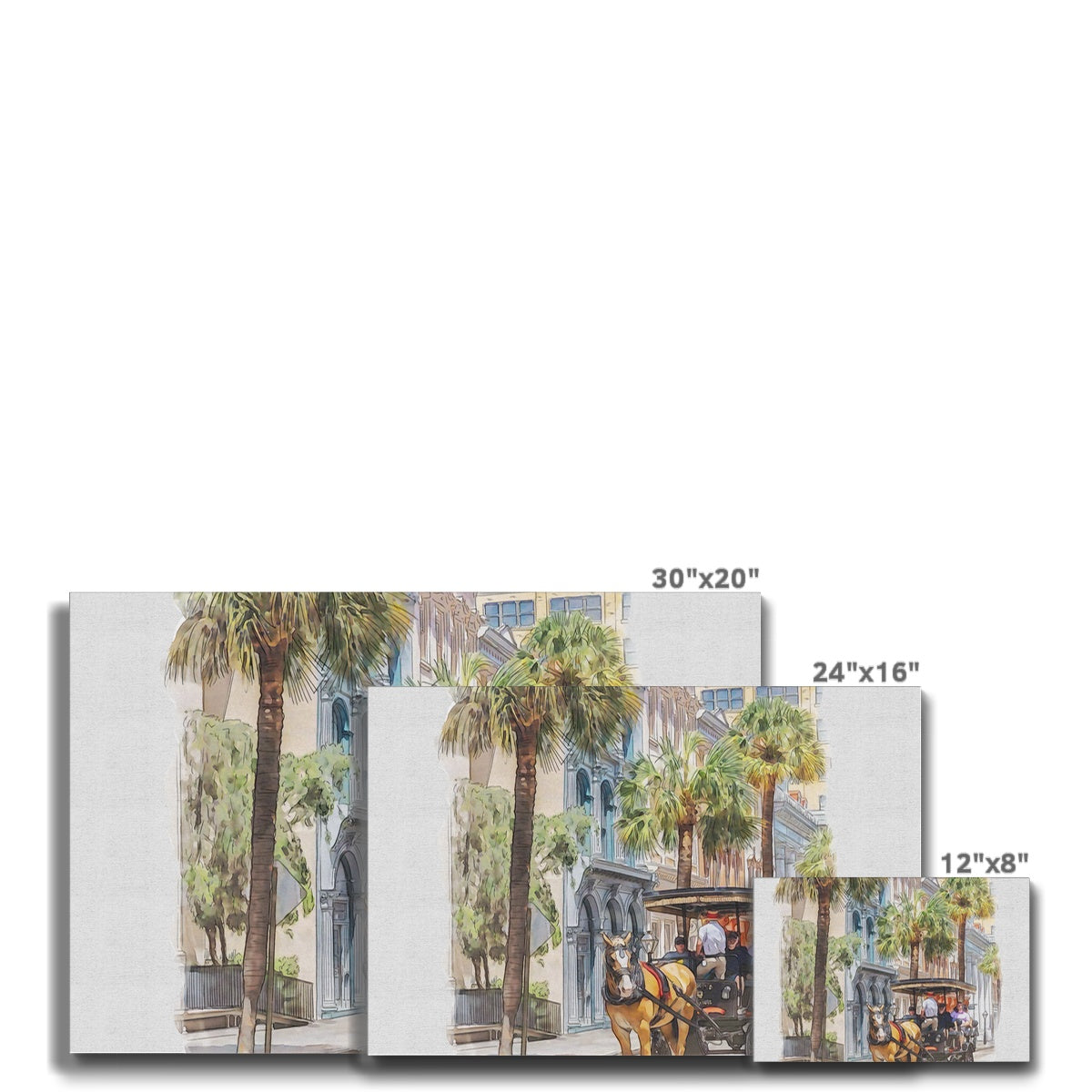 Charleston Carriage Tour Eco Canvas