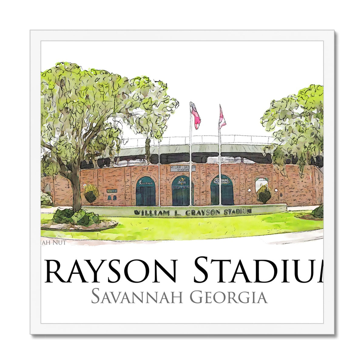 Grayson Stadium - Home of the Savannah Bananas Budget Framed Poster