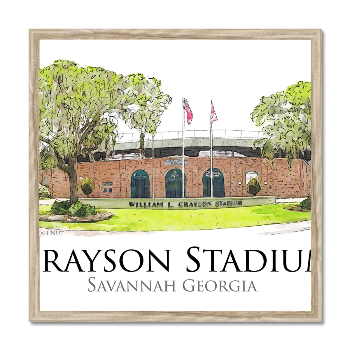 Grayson Stadium - Home of the Savannah Bananas Budget Framed Poster