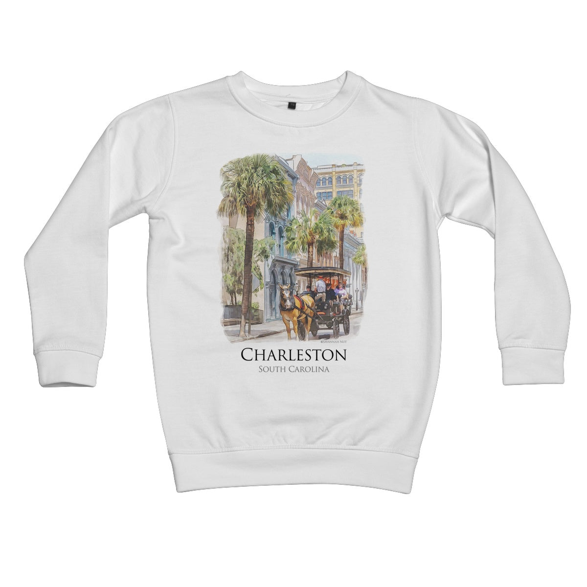 Charleston Carriage Tour Kids Sweatshirt