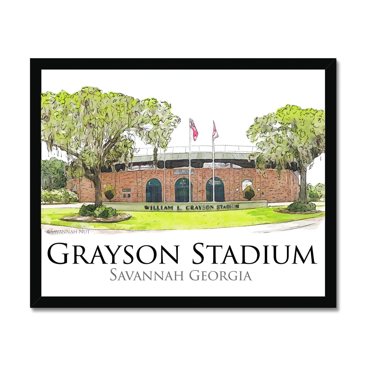 Grayson Stadium - Home of the Savannah Bananas Budget Framed Poster