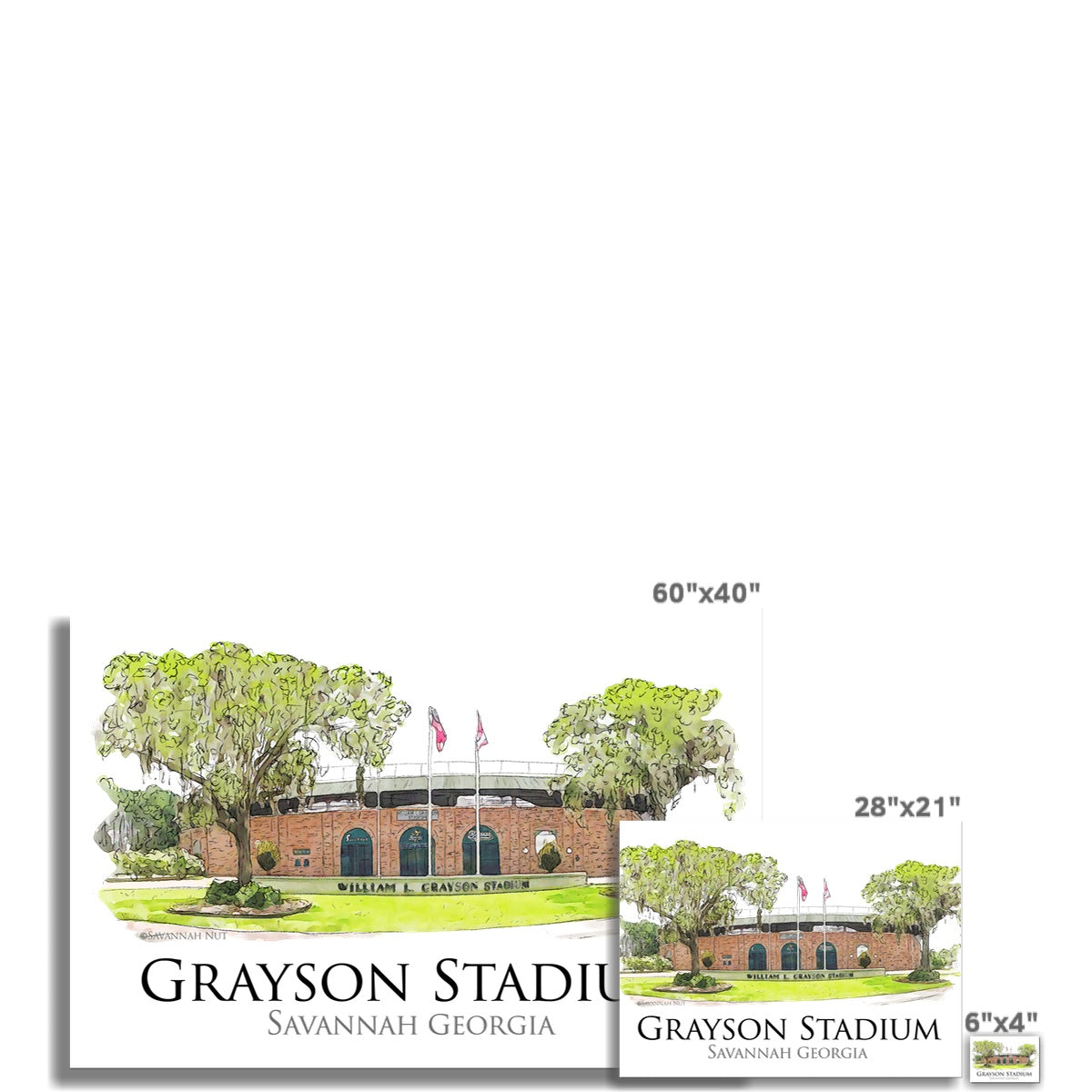 Grayson Stadium - Home of the Savannah Bananas Wall Art Poster