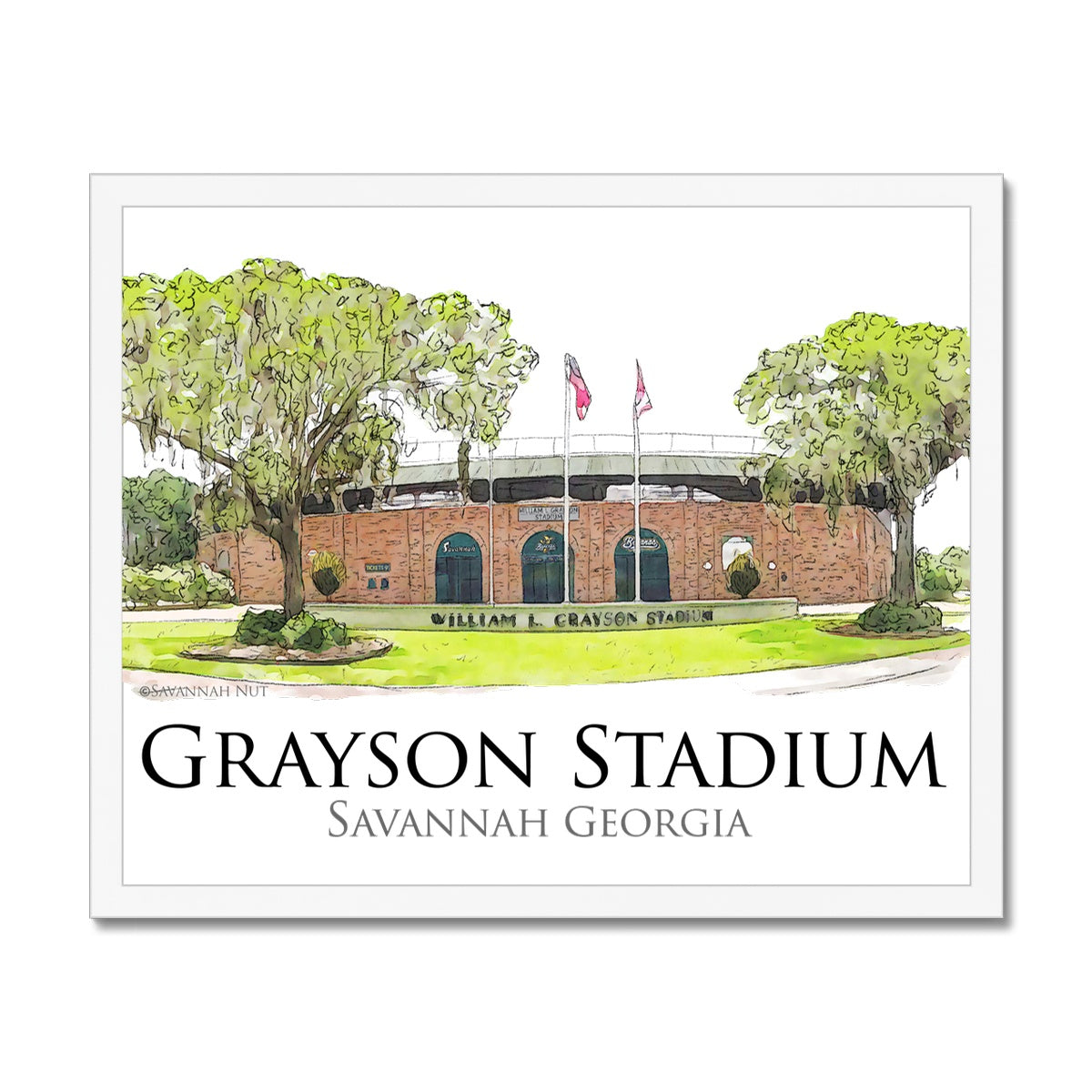 Grayson Stadium - Home of the Savannah Bananas Budget Framed Poster