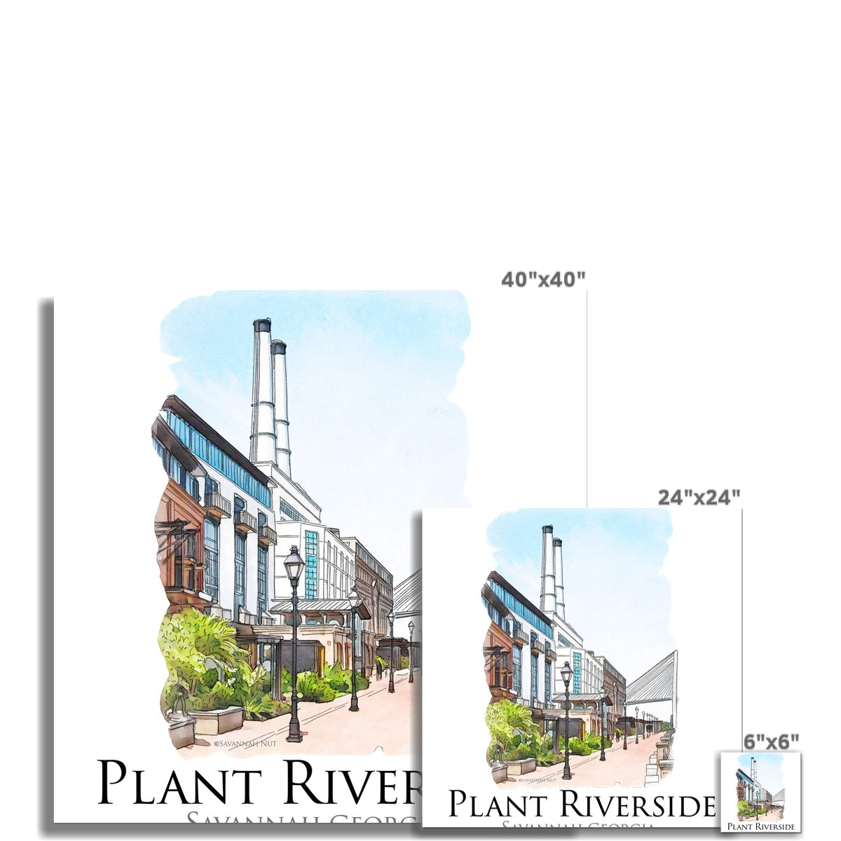 Plant Riverside Savannah Fine Art Print