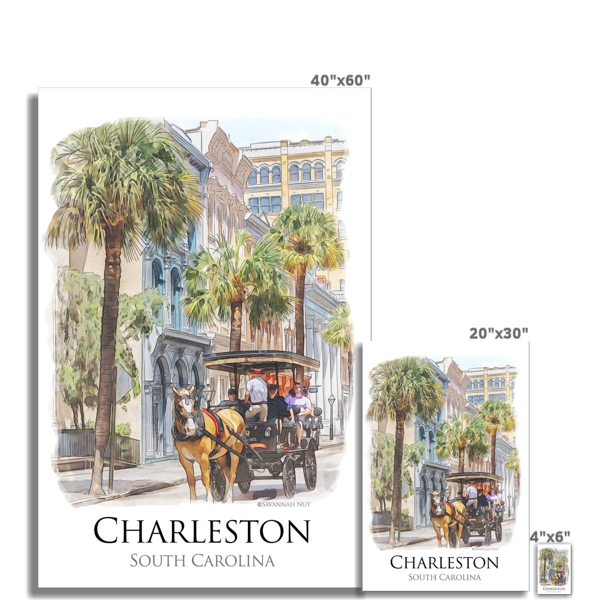 Charleston Carriage Tour Hahnemühle Photo Rag Print