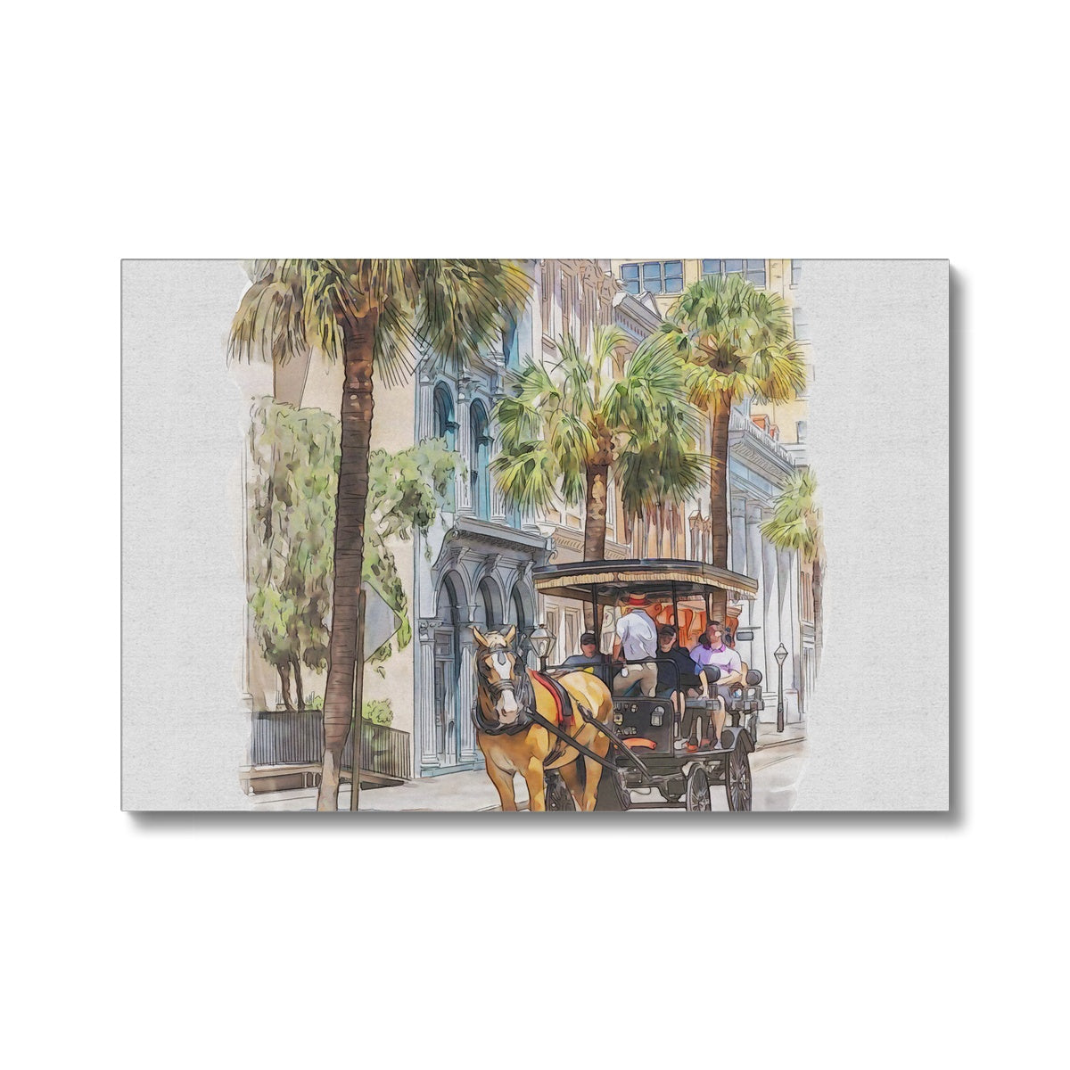Charleston Carriage Tour Eco Canvas