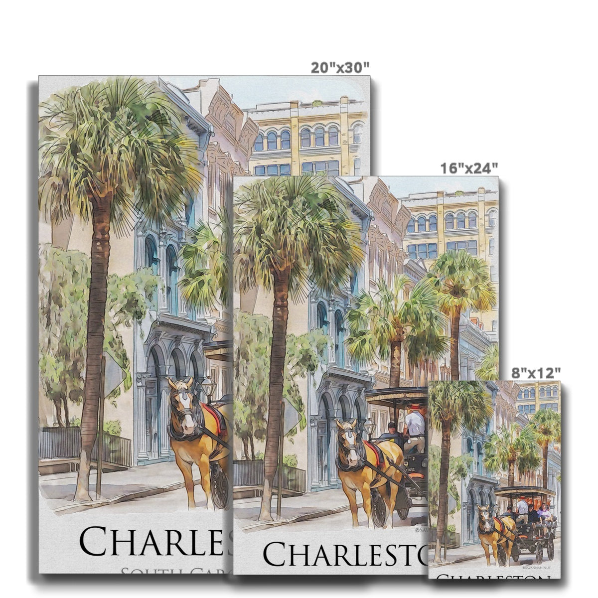 Charleston Carriage Tour Eco Canvas