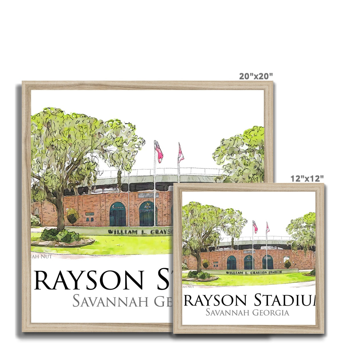 Grayson Stadium - Home of the Savannah Bananas Budget Framed Poster