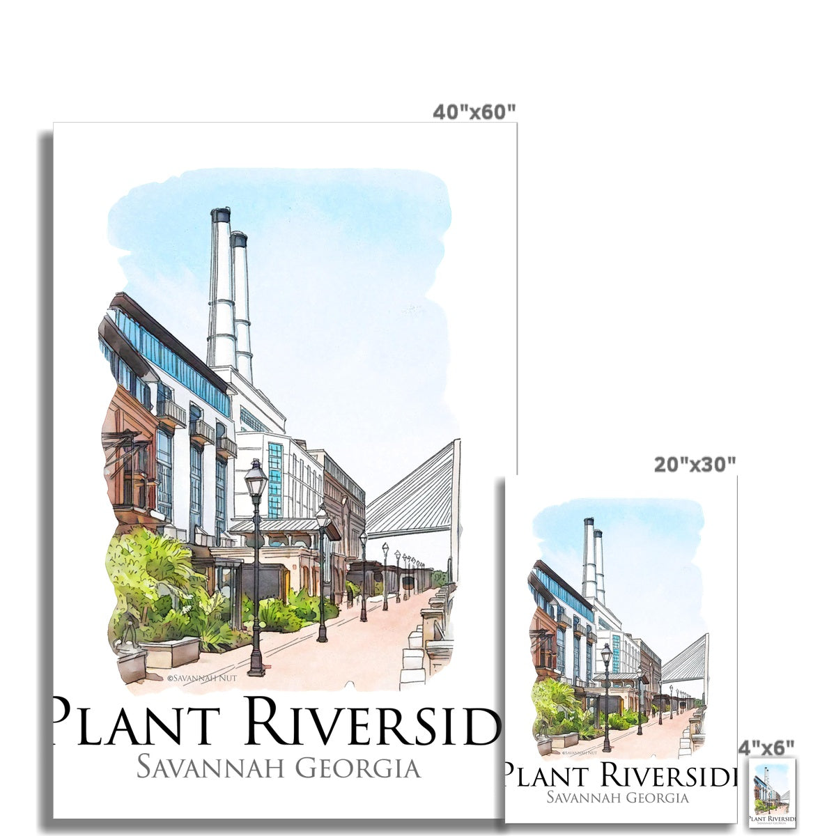 Plant Riverside Savannah Hahnemühle German Etching Print
