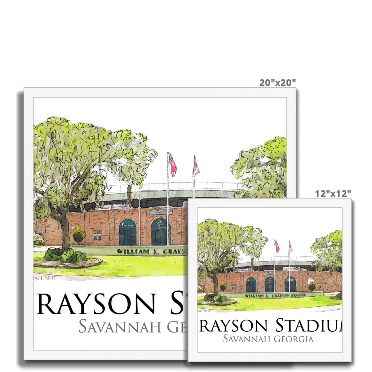 Grayson Stadium - Home of the Savannah Bananas Budget Framed Poster