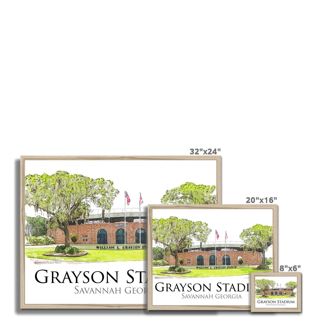 Grayson Stadium - Home of the Savannah Bananas Budget Framed Poster