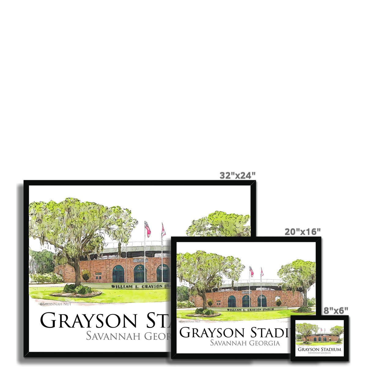 Grayson Stadium - Home of the Savannah Bananas Budget Framed Poster