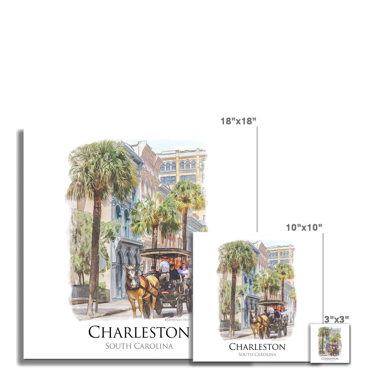 Charleston Carriage Tour C-Type Print