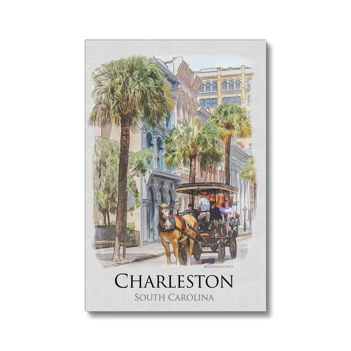 Charleston Carriage Tour Eco Canvas