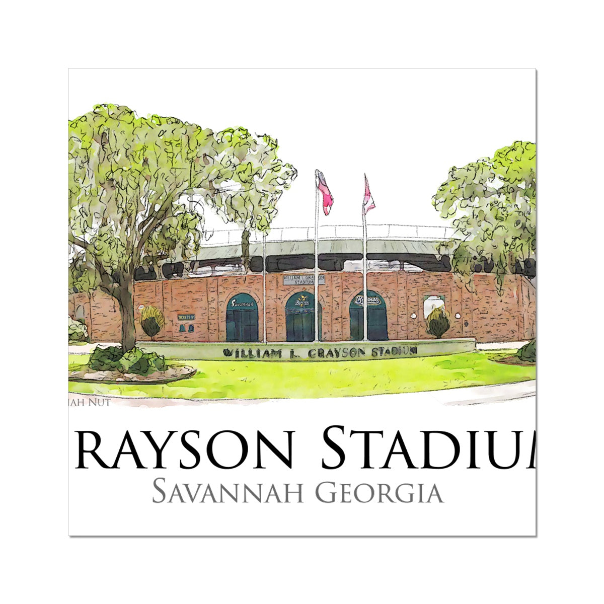 Grayson Stadium - Home of the Savannah Bananas Wall Art Poster