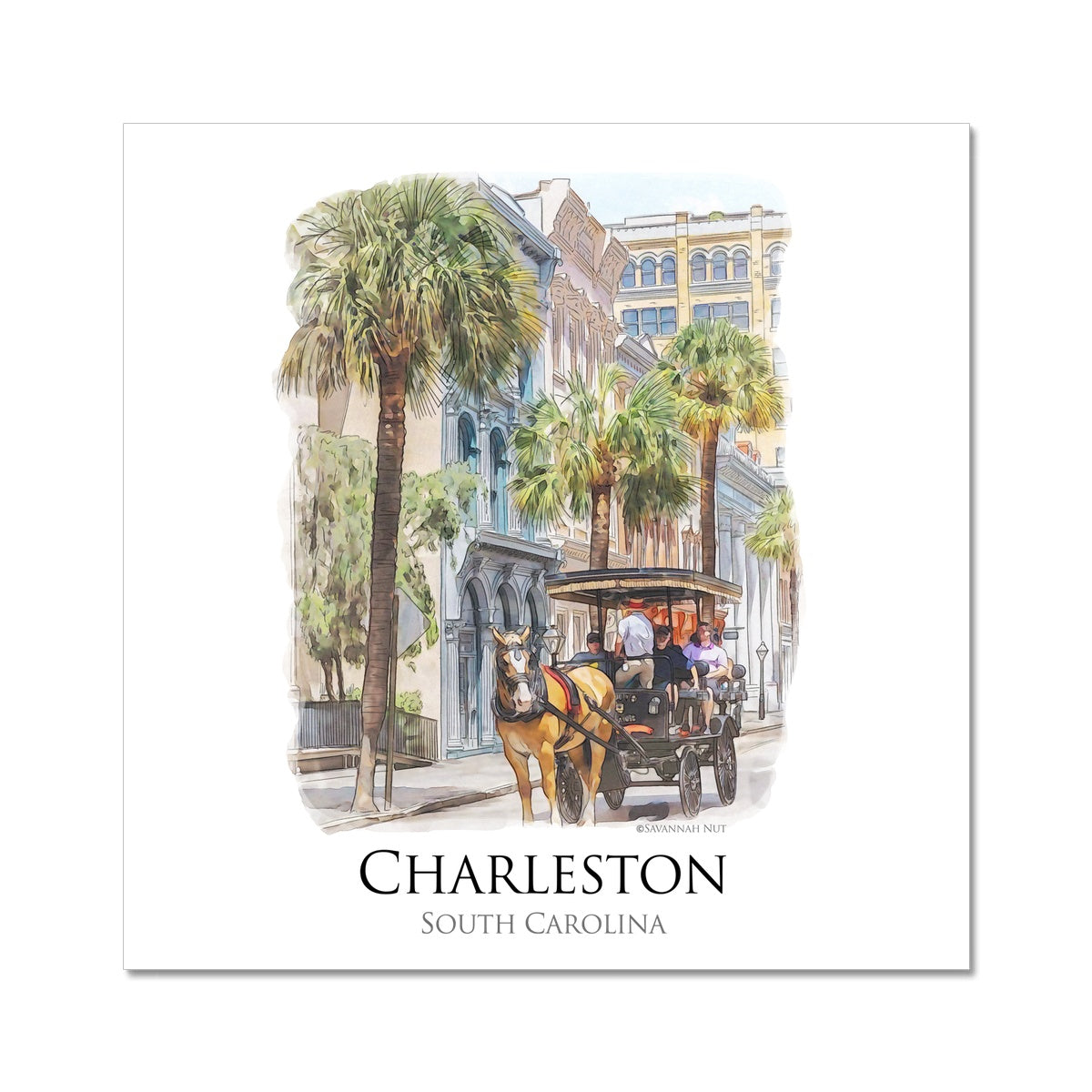 Charleston Carriage Tour C-Type Print