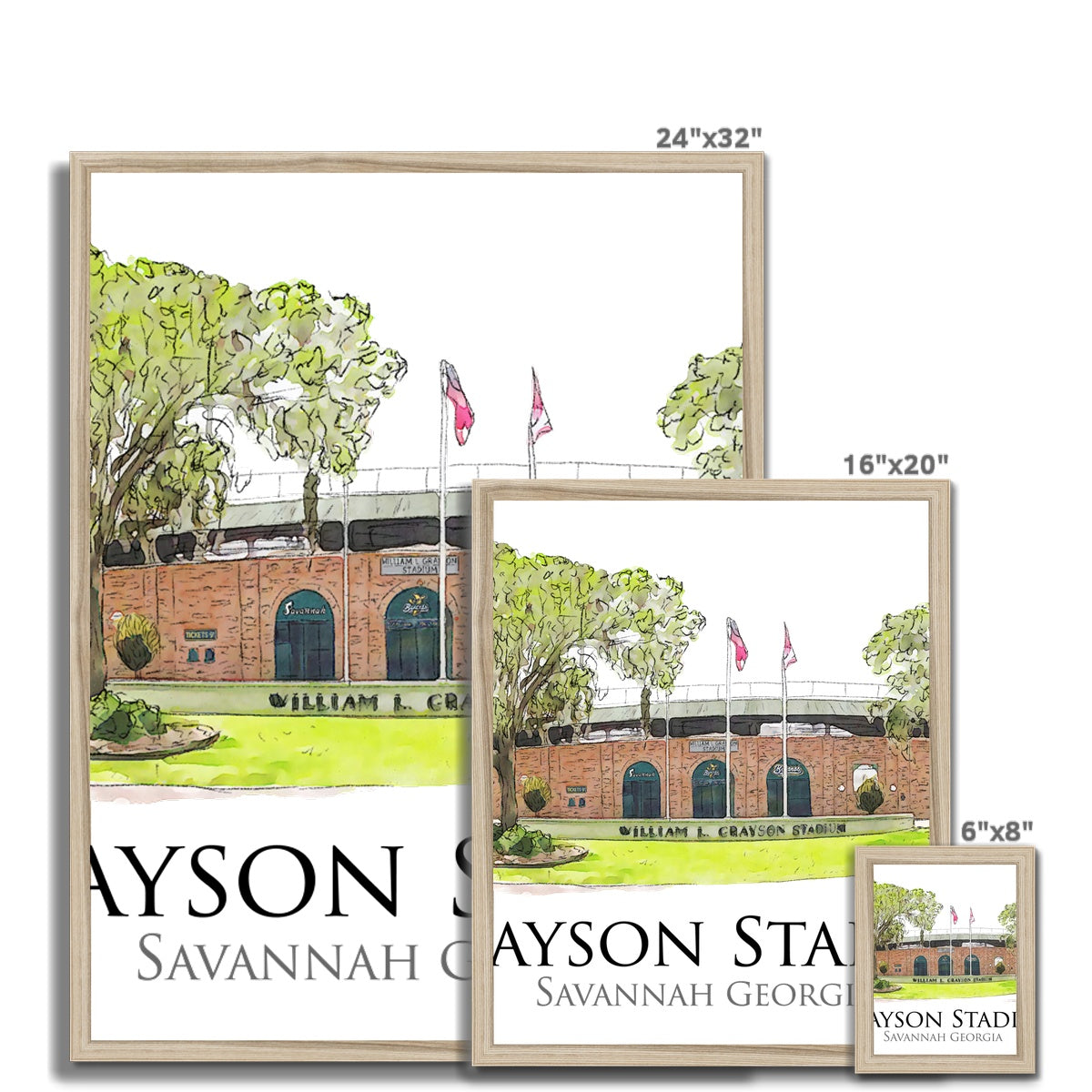 Grayson Stadium - Home of the Savannah Bananas Budget Framed Poster